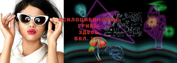 прущие грибы Алексеевка